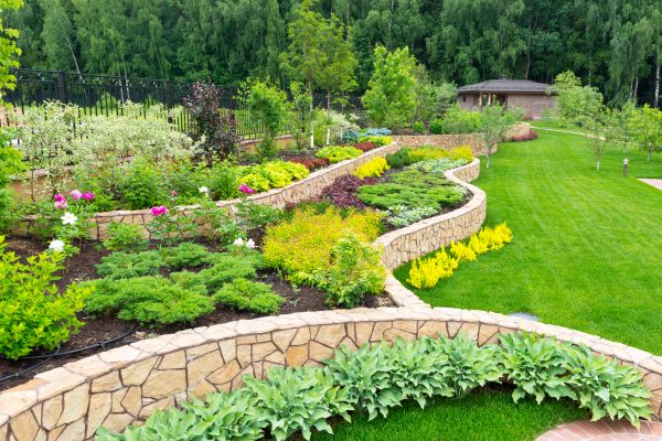 Home Garden Landscaping in Goodyear