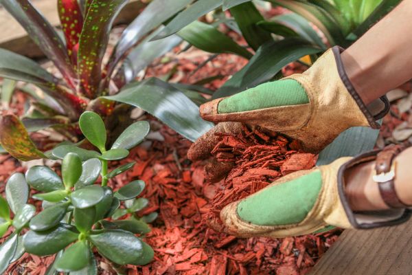 Residential Mulching in Goodyear