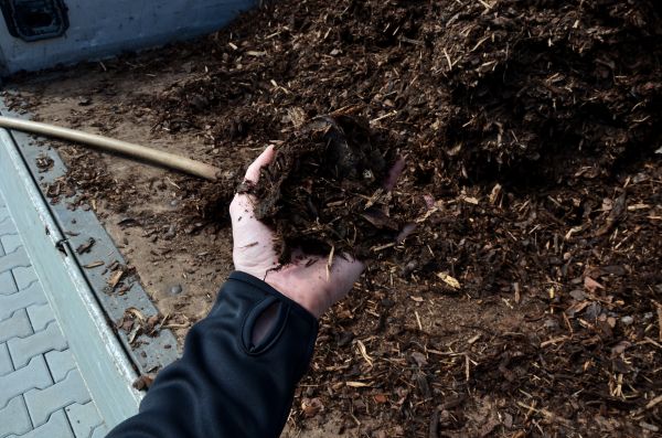 Condo Mulching in Goodyear