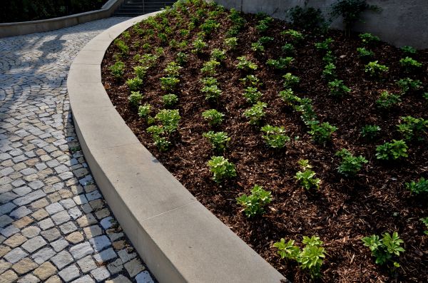 Commercial Mulching in Goodyear